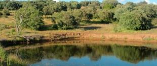 lago-coto